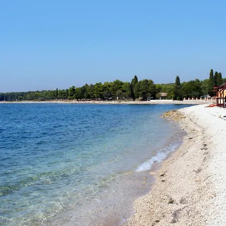 Family Friendly House With A Swimming Pool Butkovici, Istria - Sredisnja Istra - 20751 Сasa de vacaciones